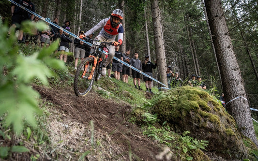 La stagione per il WeRide Fulgur Factory Team si è conclusa! Ecco com'è andata!