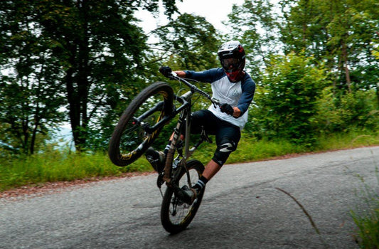 RCM spiegano il MANUAL