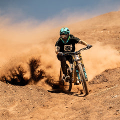 Whip 35 alu