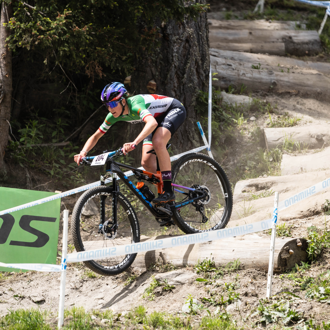 Reggisella telescopico XC 100mm – switch-components